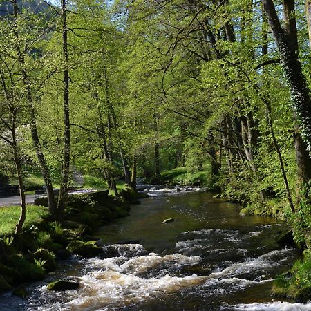 Wildbad Luft Apartment Бад Вилдбад Екстериор снимка
