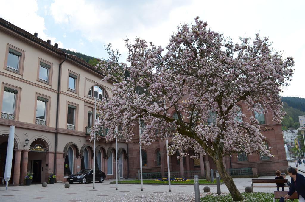 Wildbad Luft Apartment Бад Вилдбад Екстериор снимка